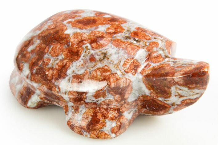 Polished Red Flower Marble Turtle - India #311880